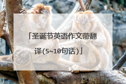 圣诞节英语作文带翻译(5~10句话)