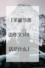 圣诞节英语作文5句话是什么