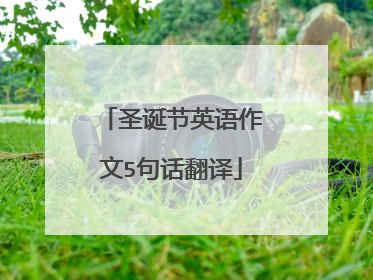 圣诞节英语作文5句话翻译