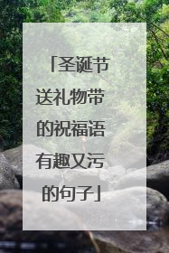 圣诞节送礼物带的祝福语有趣又污的句子