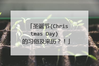圣诞节(Christmas Day) 的习俗及来历?!