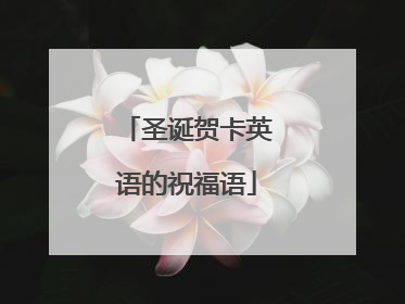 圣诞贺卡英语的祝福语