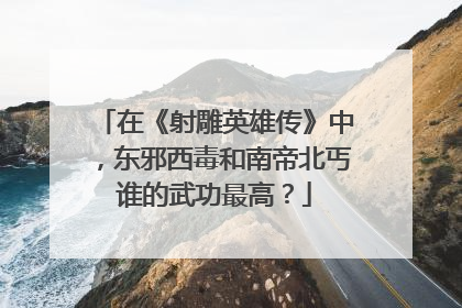 在《射雕英雄传》中,东邪西毒和南帝北丐谁的武功最高?