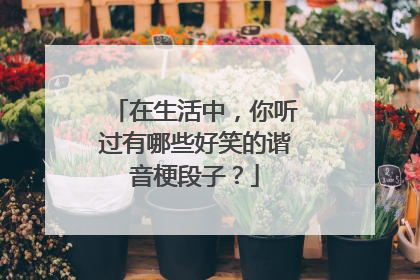 在生活中,你听过有哪些好笑的谐音梗段子?