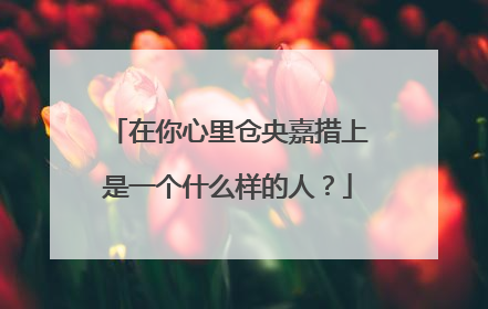 在你心里仓央嘉措上是一个什么样的人？