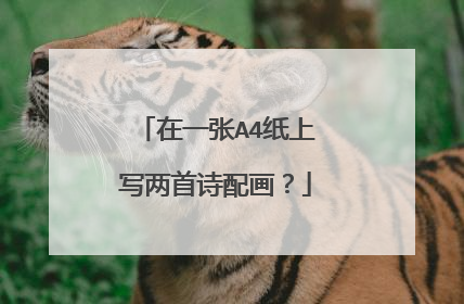 在一张A4纸上写两首诗配画?