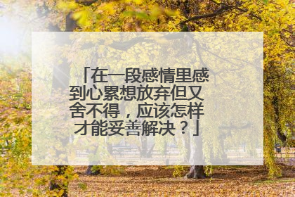 在一段感情里感到心累想放弃但又舍不得,应该怎样才能妥善解决?
