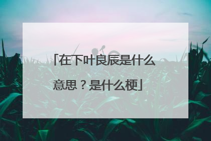 在下叶良辰是什么意思?是什么梗