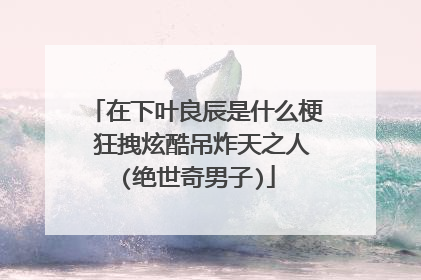 在下叶良辰是什么梗 狂拽炫酷吊炸天之人(绝世奇男子)