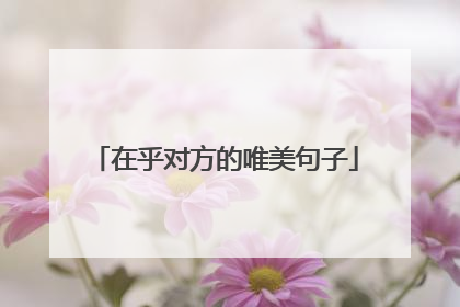 在乎对方的唯美句子