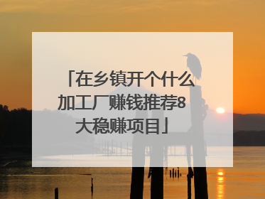 在乡镇开个什么加工厂赚钱推荐8大稳赚项目