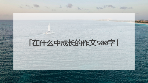 在什么中成长的作文500字