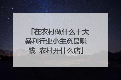 在农村做什么十大暴利行业小生意最赚钱 农村开什么店