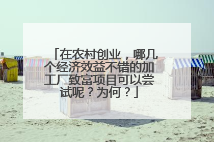 在农村创业,哪几个经济效益不错的加工厂致富项目可以尝试呢?为何?