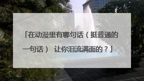 在动漫里有哪句话（挺普通的一句话） 让你泪流满面的？