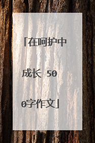 在呵护中成长 500字作文
