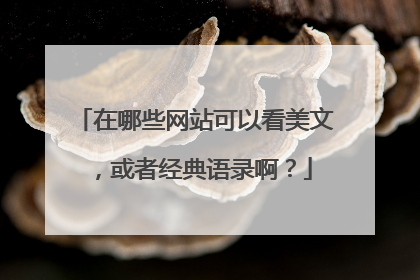 在哪些网站可以看美文,或者经典语录啊?