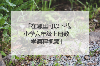 在哪里可以下载小学六年级上册数学课程视频
