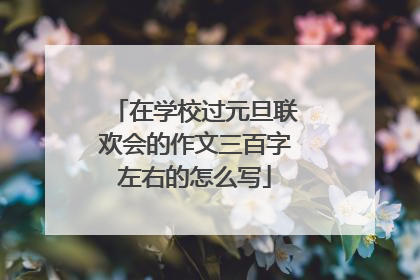 在学校过元旦联欢会的作文三百字左右的怎么写