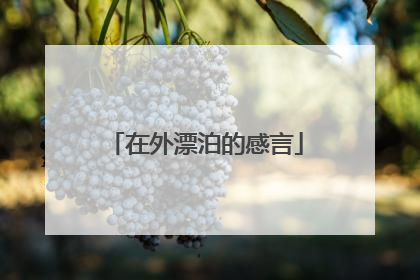 在外漂泊的感言