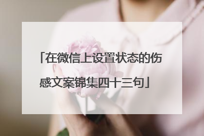 在微信上设置状态的伤感文案锦集四十三句