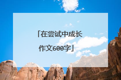在尝试中成长作文600字