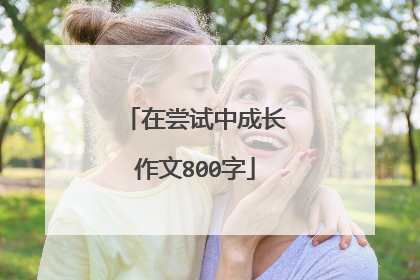 在尝试中成长作文800字
