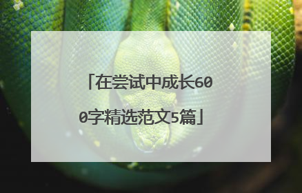 在尝试中成长600字精选范文5篇