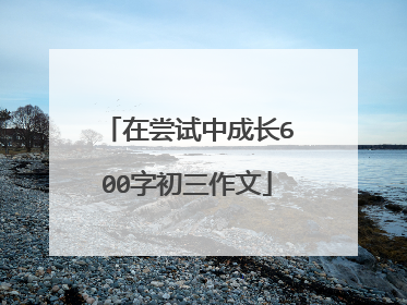 在尝试中成长600字初三作文