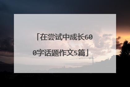 在尝试中成长600字话题作文5篇