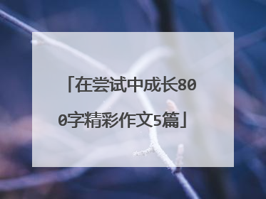 在尝试中成长800字精彩作文5篇