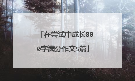 在尝试中成长800字满分作文5篇