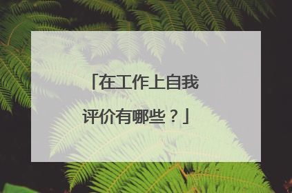在工作上自我评价有哪些？