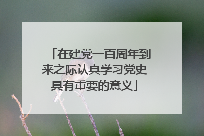 在建党一百周年到来之际认真学习党史具有重要的意义