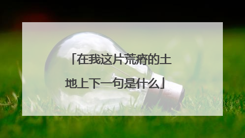 在我这片荒瘠的土地上下一句是什么