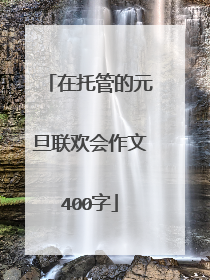 在托管的元旦联欢会作文400字