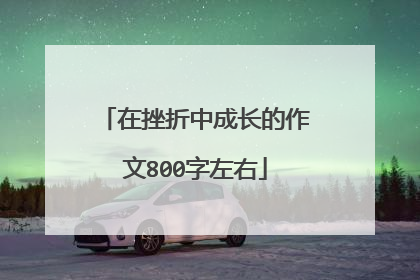 在挫折中成长的作文800字左右