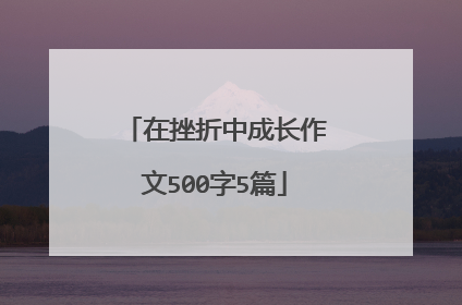 在挫折中成长作文500字5篇