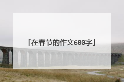 在春节的作文600字