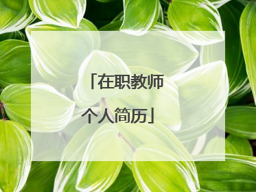 在职教师个人简历