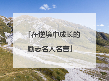 在逆境中成长的励志名人名言