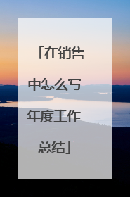 在销售中怎么写年度工作总结