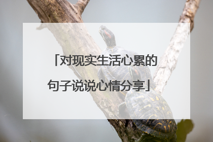 对现实生活心累的句子说说心情分享