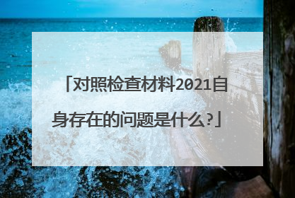 对照检查材料2021自身存在的问题是什么?
