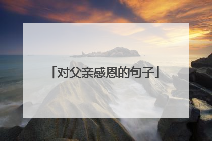 对父亲感恩的句子