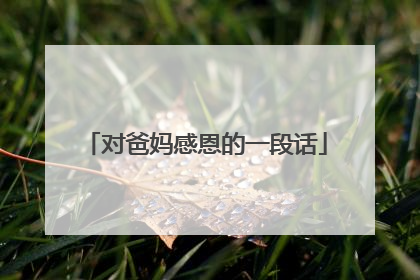 对爸妈感恩的一段话