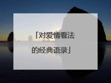 对爱情看法的经典语录