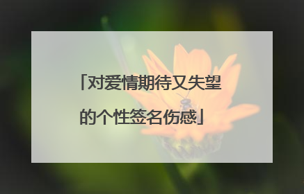 对爱情期待又失望的个性签名伤感