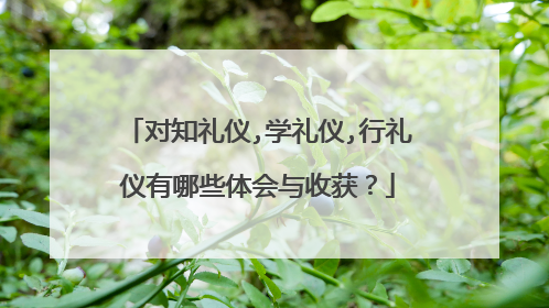 对知礼仪,学礼仪,行礼仪有哪些体会与收获？