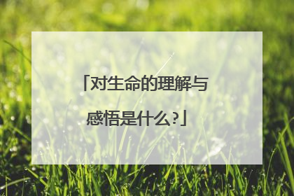 对生命的理解与感悟是什么?